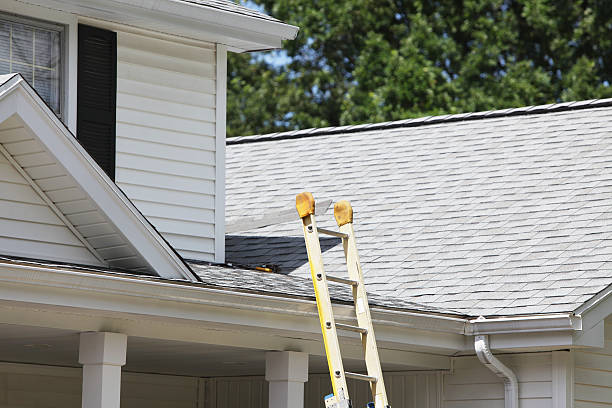 Best Hoarding Cleanup  in Coal Run Village, KY
